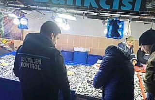 Kırklareli’nde su ürünleri denetimleri