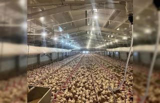 Kırsalda üretime 33,6 milyon liralık can suyu