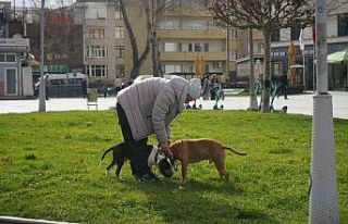Kış ortasında sonbahar havası