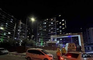 Kız kardeşini öldürdü, annesini ağır yaralayıp...