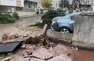 Kocaeli’de şiddetli rüzgar 12 metrelik ağacı...