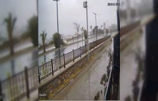 Kontrolden çıkan otomobil refüjdeki ağaca çarpıp...