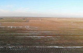 Konya Ovası’nda karsız sezon endişesi