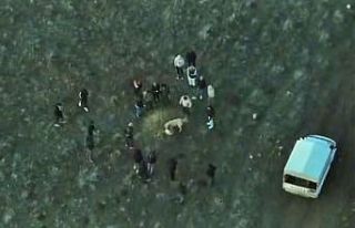 Köpek dövüştüren şahıslara jandarmadan dronlu...