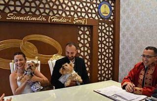 Köpekleriyle birlikte mutluluğa "evet"...