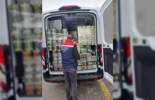 Köşk’te sahte zeytinyağı operasyonu: 3 ton yağa...