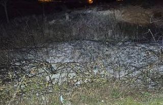 Küçük çaplı ot yangını erken müdahaleyle söndürüldü