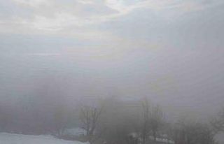 Kulp ilçesinde yoğun sis etkili oldu