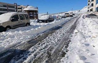 Kulp’ta kar çekildi, dondurucu soğuk etkisini...