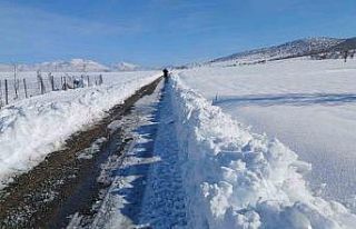 Kulp’ta taşımalı eğitime kar tatili, ilçe merkezinde...