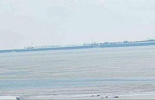 Kuş cenneti Arin Gölü kısmen dondu