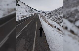 Kuşlar için yol kenarlarına buğday serptiler