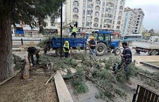 Kütahya’da fırtına ve aşırı rüzgâr ağaçları...