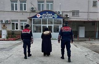 Kuyucak’ta terör örgütü üyesi yakalandı