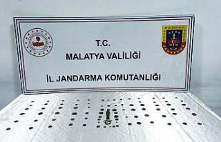 Malatya’da tarihi eser operasyonu