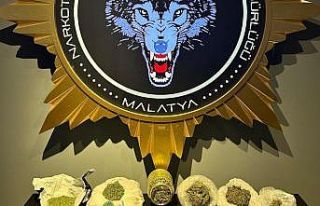 Malatya’da "torbacı" operasyonu: 1 tutuklama