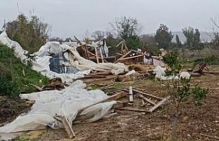Manavgat’ta hortum 300 dönümlük alanda seraları...