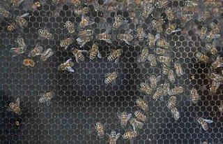 Manisa’da kırsal kalkınmaya 144 milyon TL’lik...