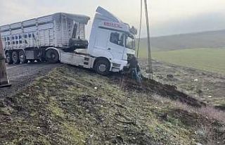Mardin’de kontrolden çıkan tır yol kenarına...