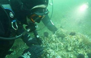Marmara Denizi’ne kıyı kentlerin Belediye Başkanlarına...