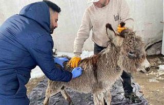 Mazıdağı Belediyesinin "sahip çıkıldı"...