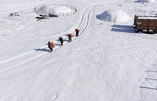 Mazıdağı’nın karlı yollarında zorlu mesai:...