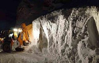 Meteorolojiden 4 il için çığ uyarısı