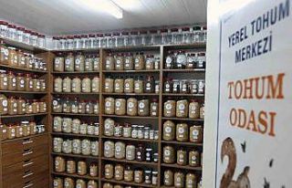 Muğla Büyükşehir 2026 yılında 3 milyon ata tohumu...