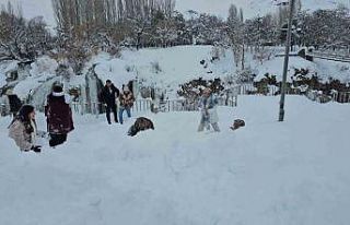 Muradiye Şelalesi’ne ziyaretçi akını