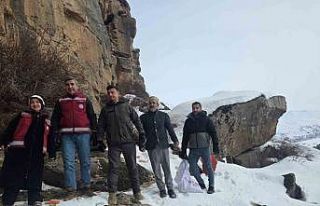 Muradiye’de yaban hayvanları için doğaya yem...