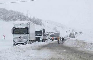 Muş-Bingöl kara yolunda kar engeli: 60 araç ve...