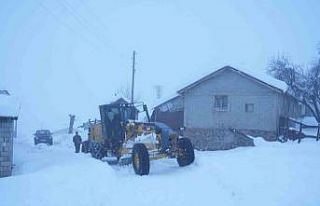 Muş’ta ekipler seferber oldu: 7 bin kilometre yol...