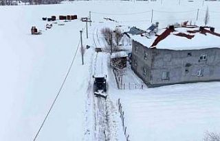 Muş’ta muhtarın gönüllü kar mesaisi takdir...