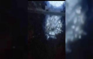 Muş’ta nehir kıyısında su samurları görüntülendi