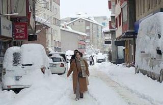 Muş’ta yoğun kar yağışı hayatı olumsuz etkiledi