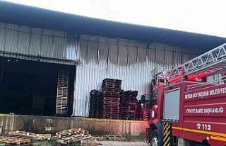 Narenciye fabrikasında yangın çıktı, çok sayıda...