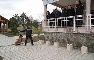 OMÜ’de yetiştirilen görev köpeği ’Pars’,...