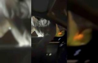 Önce araca saldırdı, ardından araçtakileri bıçakladı......