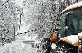 Ordu’da karla mücadele: 1 günde 457 mahalle yolu...