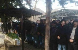 Ordu’da oto bakım servisinde ölü bulunan 2 genç...