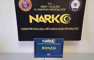 Ordu’da uyuşturucu operasyonlarında 4 tutuklama
