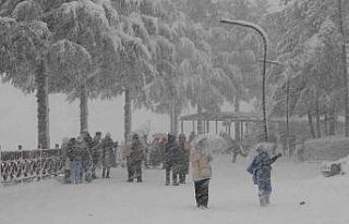 Ordu’da yeni yılın ilk kar yağışı etkili oldu