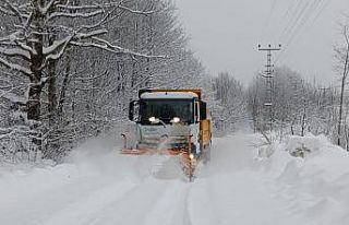 Ordu’da yükseklerde kar kalınlığı 1,5 metreye...