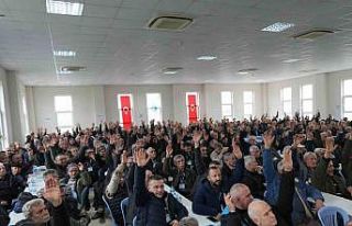 Orhangazi Zeytin Tarım Satış Kooperatifi’nde...