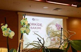 Orkide bakımı uygulamalı olarak anlatıldı