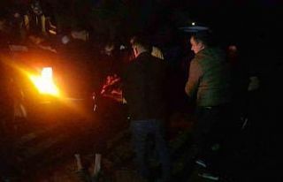 Orman yangınında hasar gören ağaçları taşıyan...