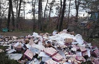 Ormanı çöplüğü çevirmişler