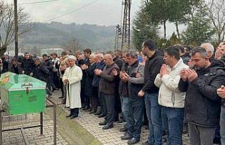 Otomobilin tıra ok gibi saplandığı kaza güvenlik...