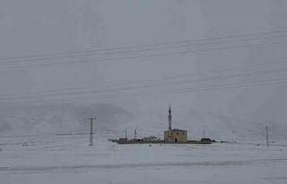 Pamuk Geçidi’nde kar ve sis ulaşımı olumsuz...