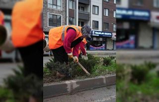 Park ve yeşil alanlarda peyzaj çalışmaları sürüyor